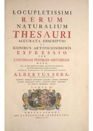 Locupletissimi rerum naturalium thesauri accurata descriptio
