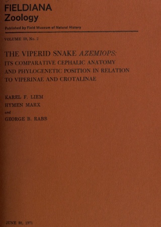 The viperid snake Azemiops